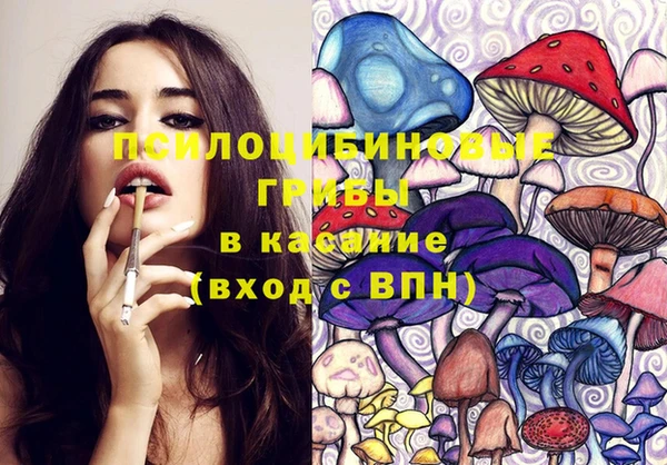 гашик Остров