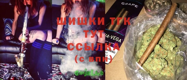 spice Галич