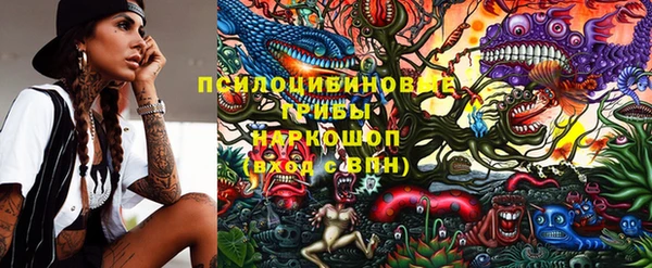 прущая мука Пересвет